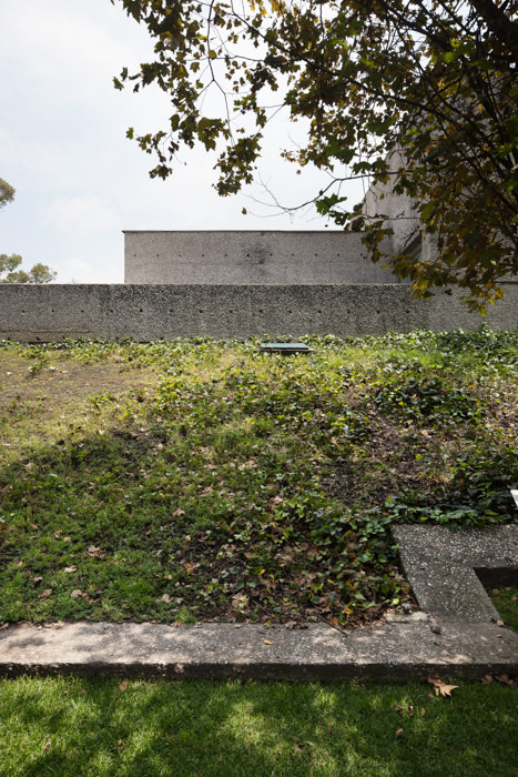 Museo Tamayo